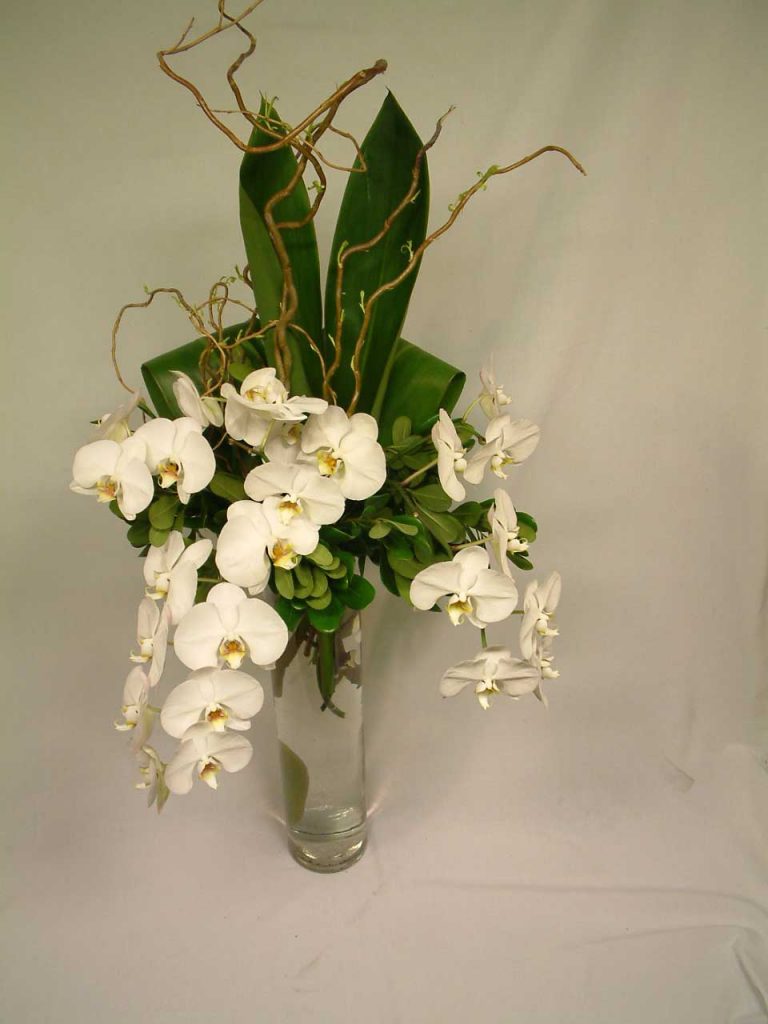 Indulge and Bloom