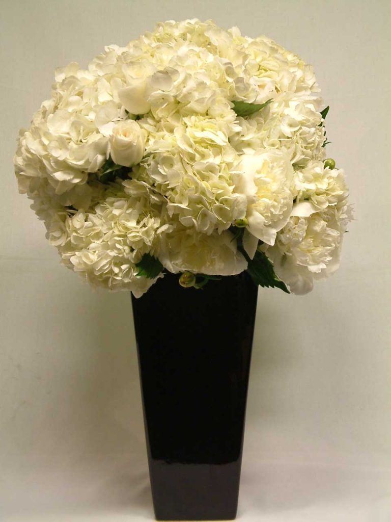 Indulge and Bloom