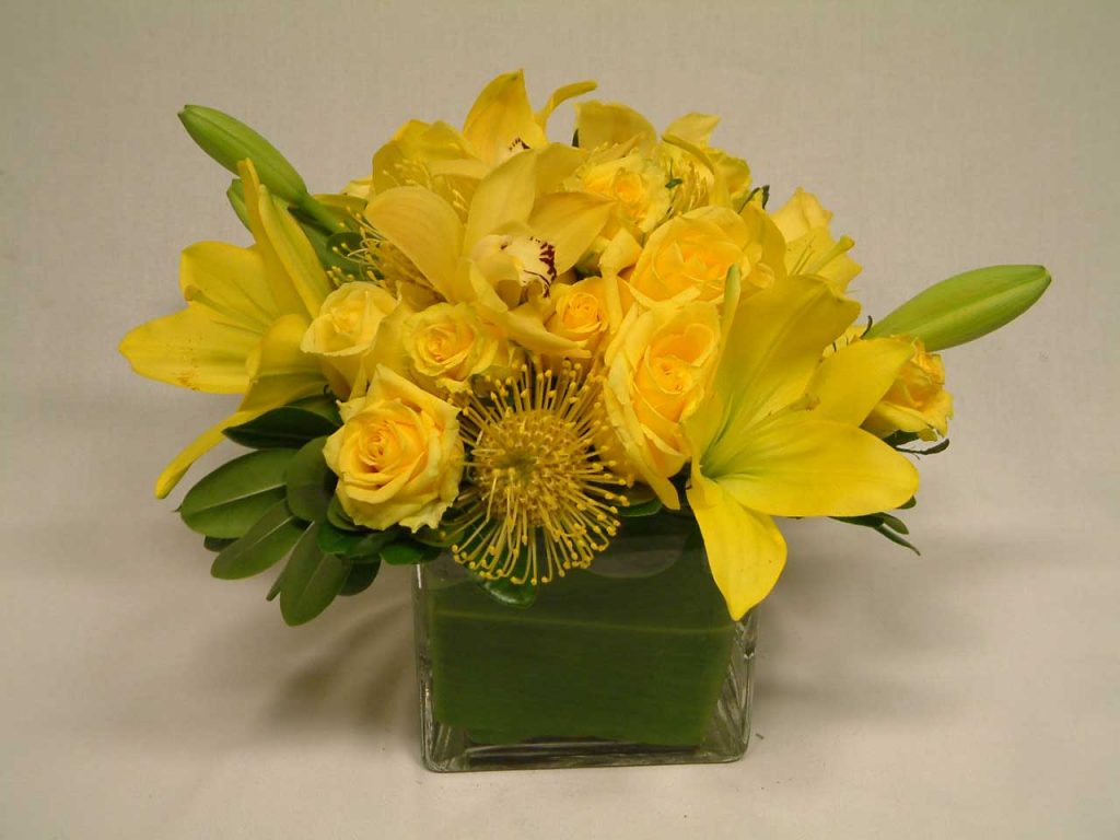 Indulge and Bloom