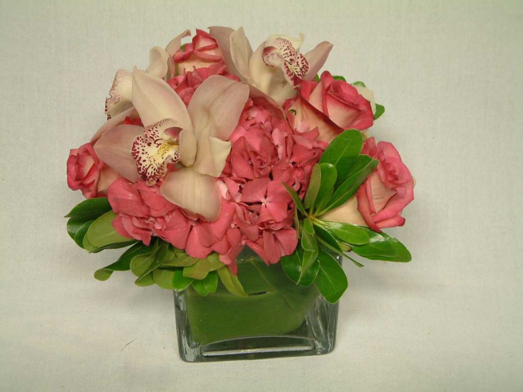 Indulge and Bloom