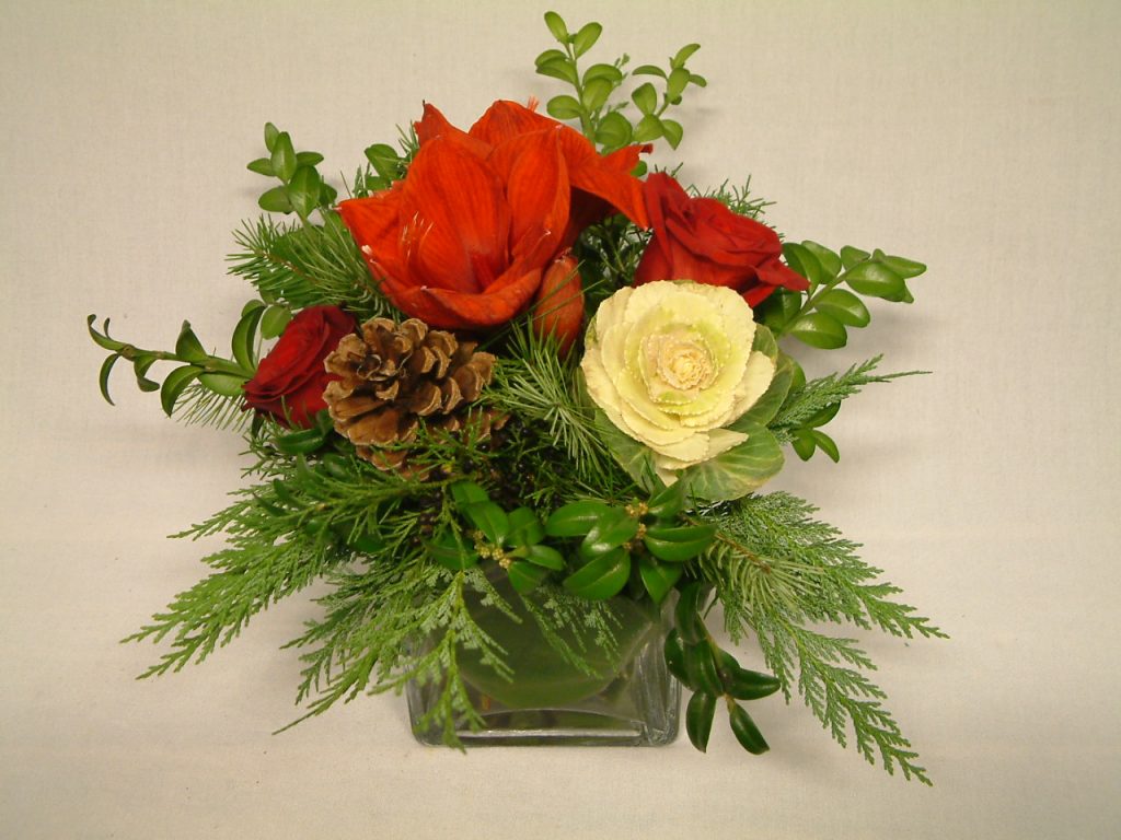 Indulge and Bloom