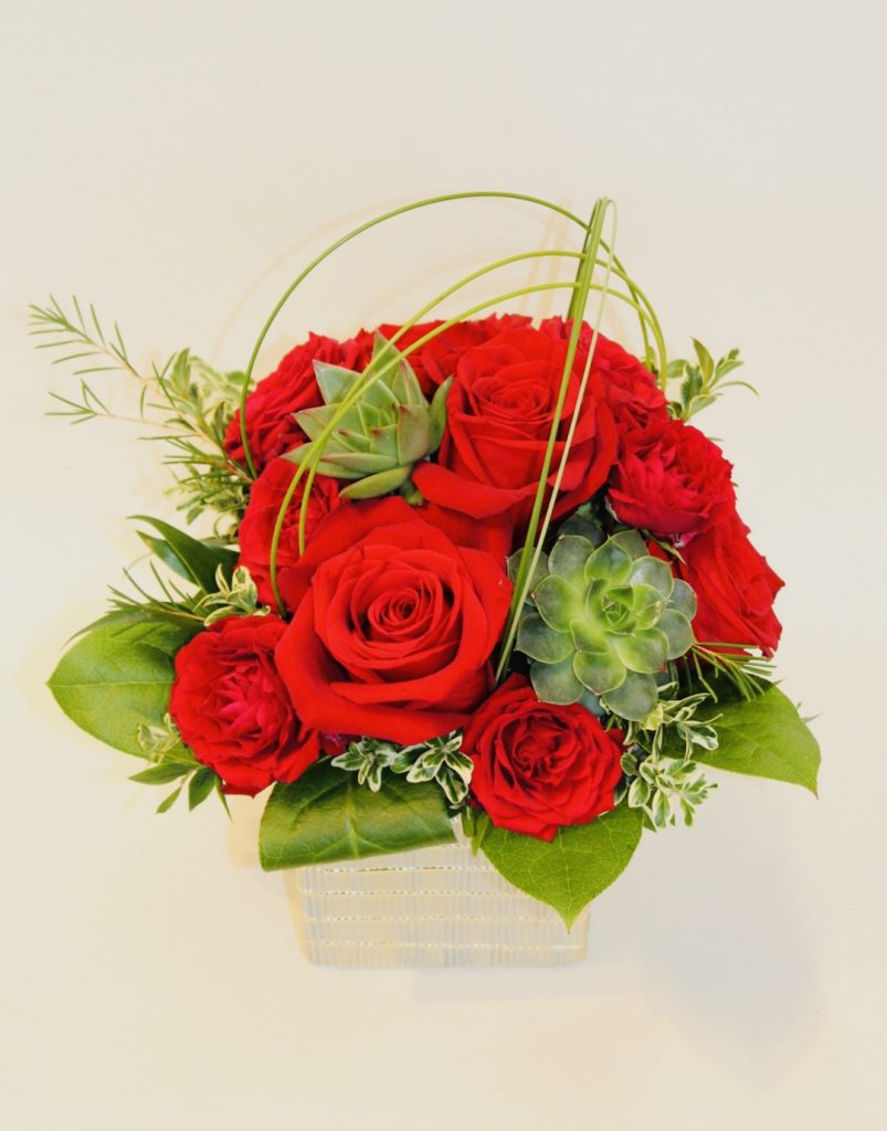Indulge and Bloom